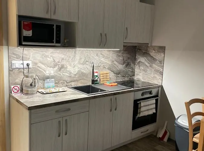 Andelska アパート オロモウツ